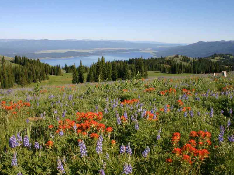 Fence contractor in Cascade, ID