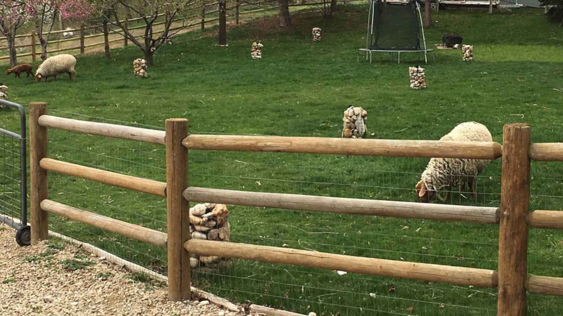 Fence Repair: How to Get a Fence Post Out of the Ground