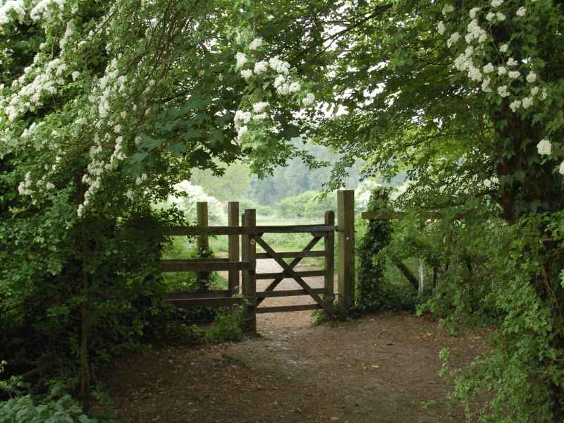 Custom gate installation in Horseshoe Bend