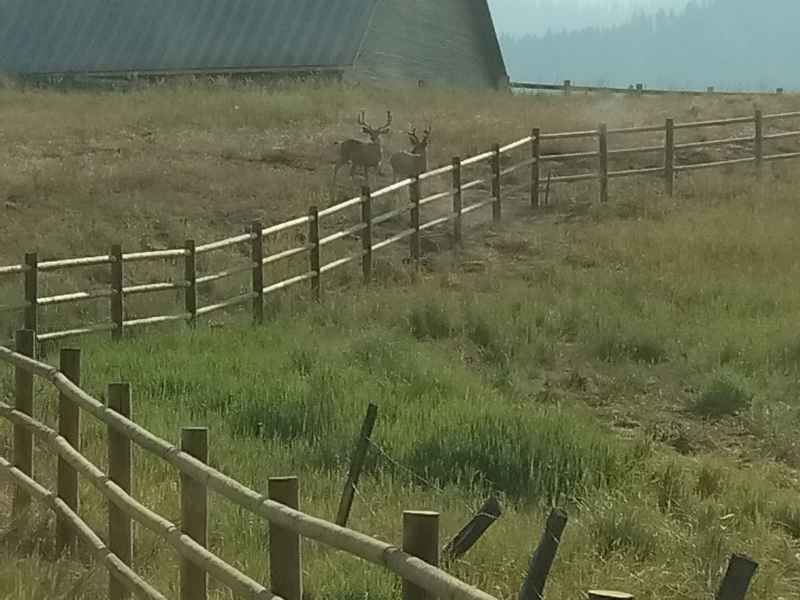 wood fence maintenance Horseshoe Bend - Heartland Post and Fence